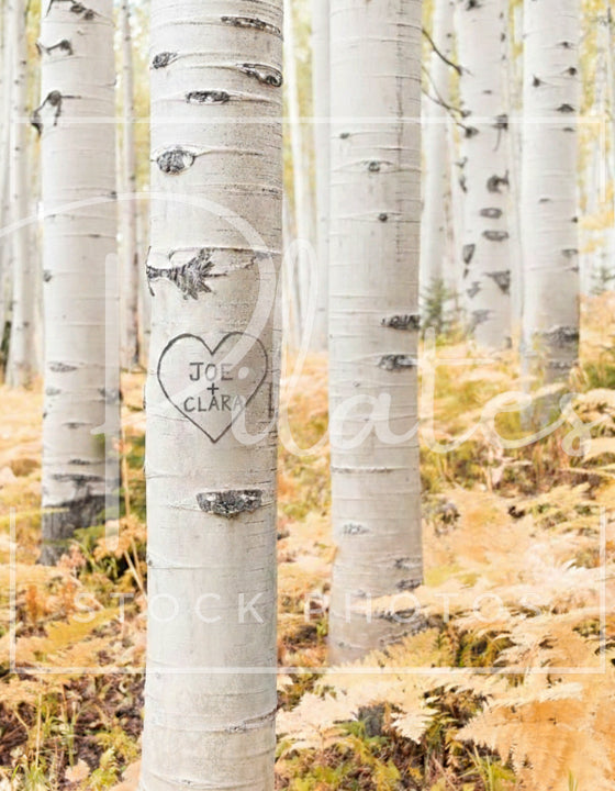 Joe + Clara Tree Carving (Version 2)